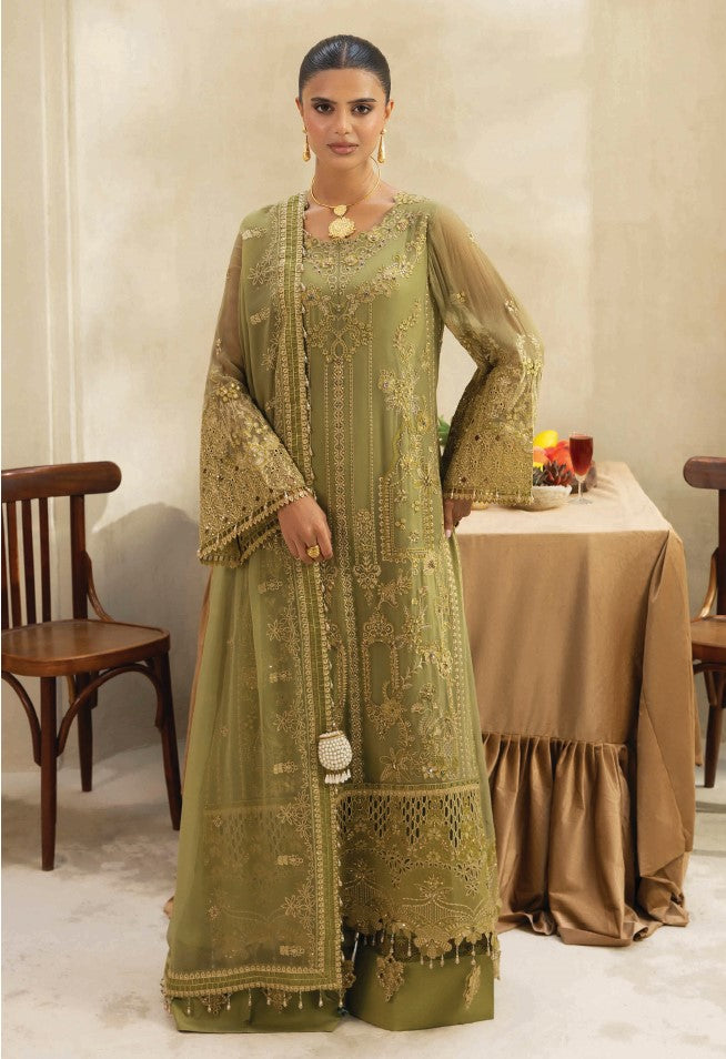 Premium Embroidered Fancy Chiffon Party Wear Suit RBS-03